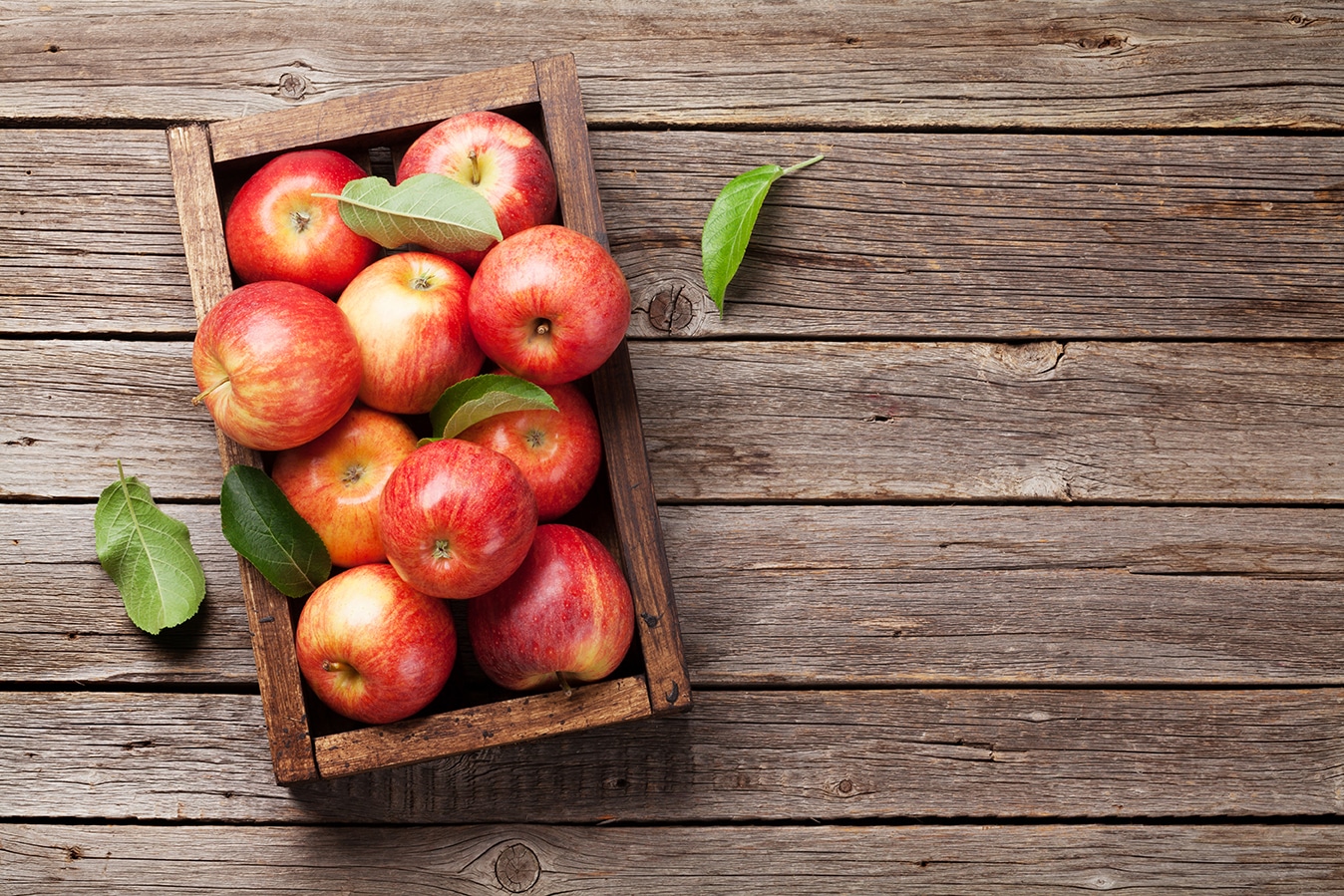 Essen und Ernähren - Apfel