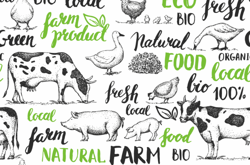 Bio-Siegel – ein Blick auf die Tierhaltung