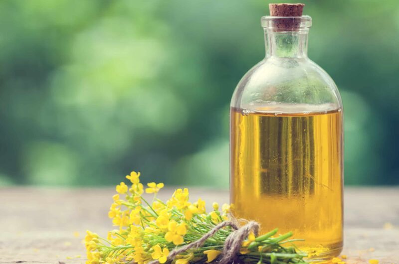 Rapsöl als Allrounder – gesunde pflanzliche Fette mit Vitamin E 