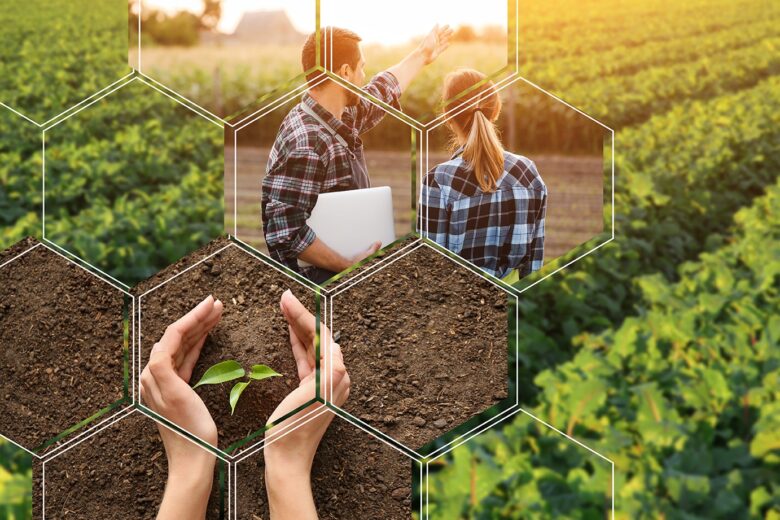 Biodiversität über den Tellerrand: Abschluss-Konferenz, 27. – 29.09.23 in Berlin