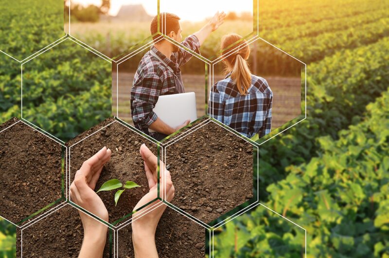 Bio-Siegel im Vergleich – ein Blick auf die Landwirtschaft