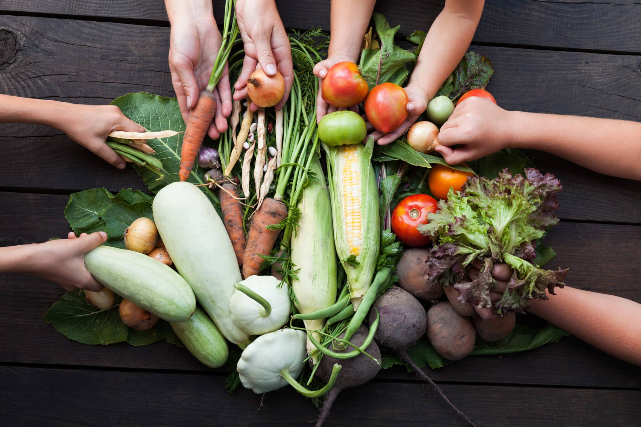 Warum Ernährungswende, Ernährungswende anpacken, Nachhaltigkeit, Ernährungssystem, Ernährung
