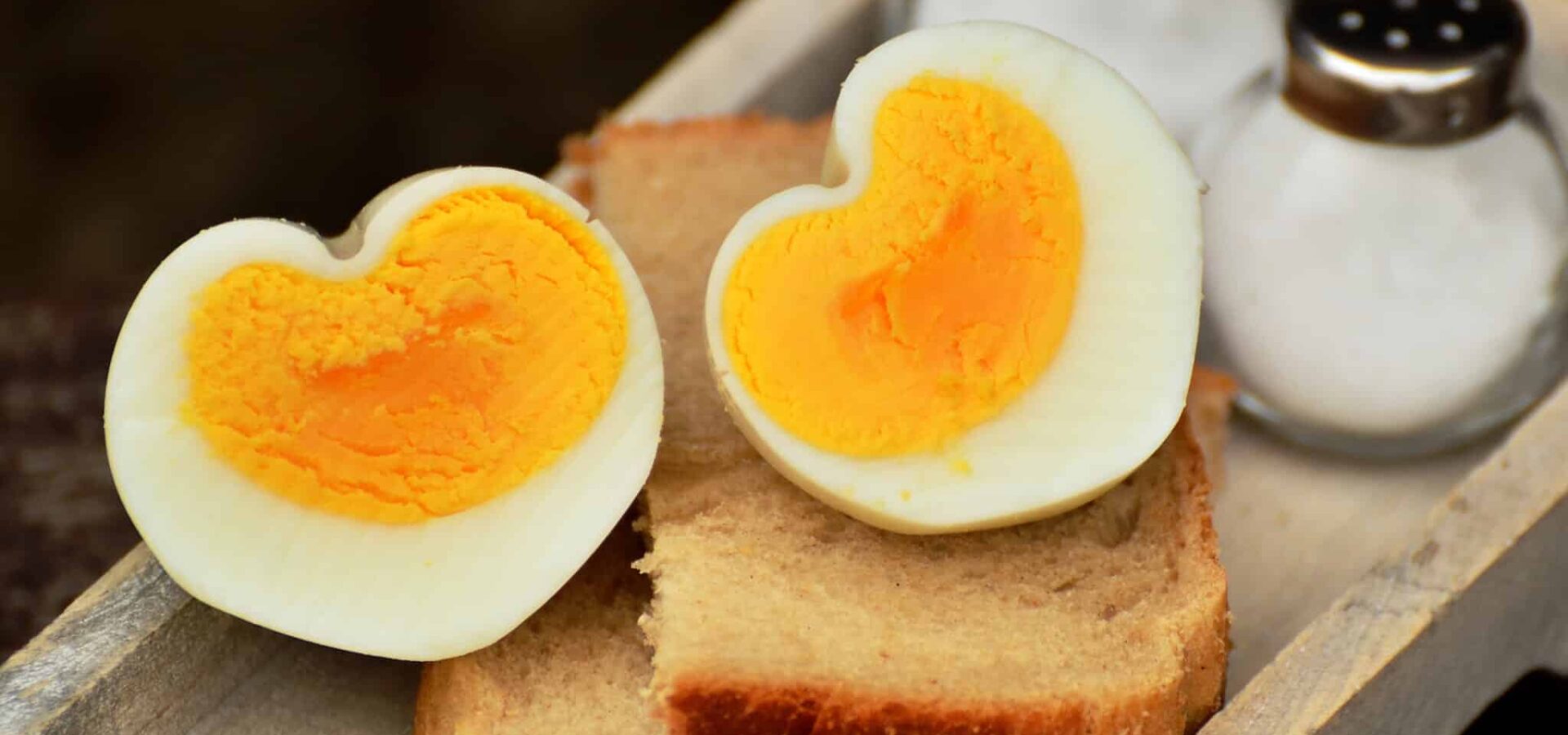 Gesunde Ernährung im Alter, DGE, DGE-Qualitätsstandard, Essen und Ernähren Verpflegung, Senioren, eiweißreiche Ernährung im Alter, Senioreneinrichtungen