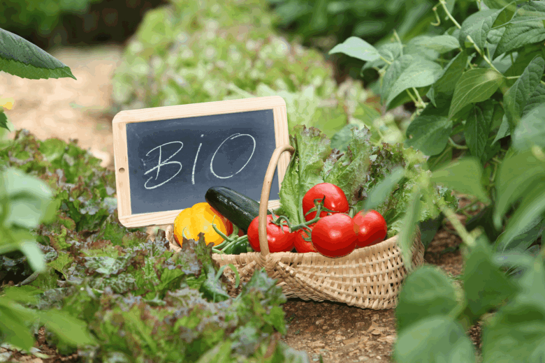 Bio in Schleswig-Holstein: bis zu 100 % Förderung für Beratungskosten!