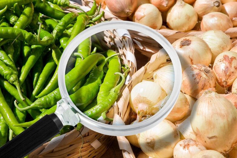 HACCP meets Bio: Die sichere und nachhaltige Verpflegung in Kantinen