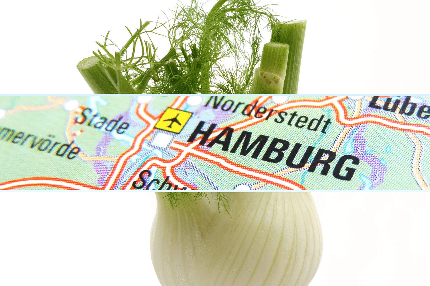 Kinderprogramm